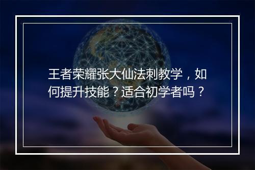 王者荣耀张大仙法刺教学，如何提升技能？适合初学者吗？