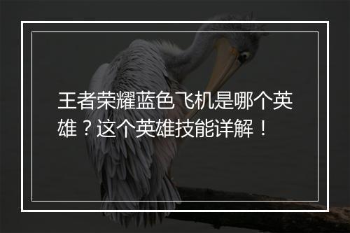 王者荣耀蓝色飞机是哪个英雄？这个英雄技能详解！