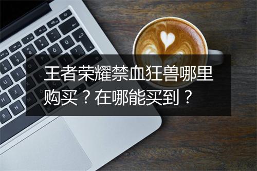 王者荣耀禁血狂兽哪里购买？在哪能买到？