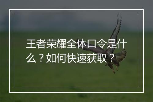 王者荣耀全体口令是什么?如何快速获取?