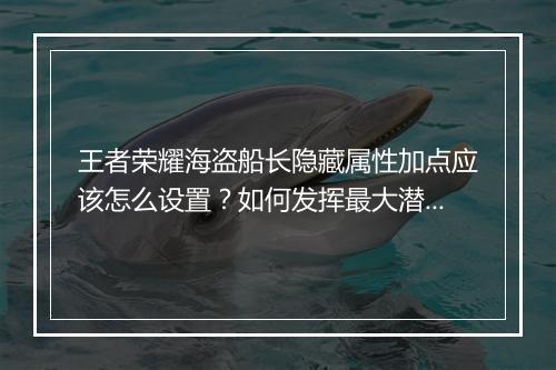 王者荣耀海盗船长隐藏属性加点应该怎么设置？如何发挥最大潜力？