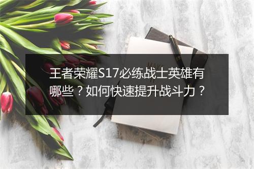 王者荣耀S17必练战士英雄有哪些？如何快速提升战斗力？