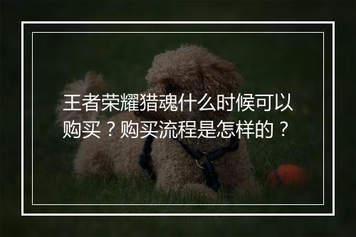 王者荣耀猎魂什么时候可以购买？购买流程是怎样的？