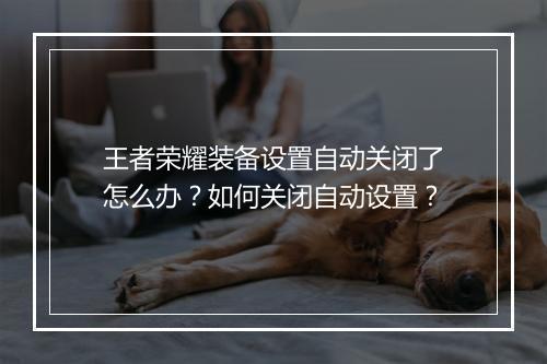 王者荣耀装备设置自动关闭了怎么办?如何关闭自动设置?