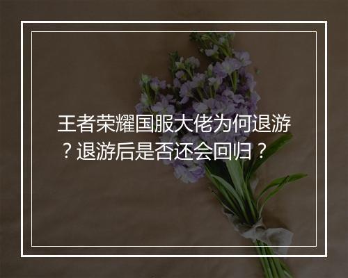 王者荣耀国服大佬为何退游？退游后是否还会回归？