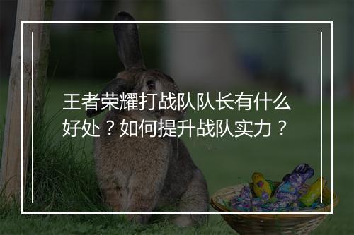 王者荣耀打战队队长有什么好处?如何提升战队实力?