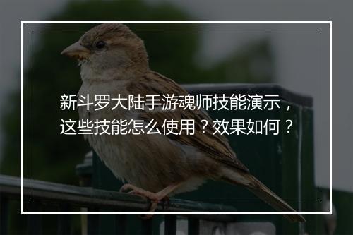 新斗罗大陆手游魂师技能演示，这些技能怎么使用？效果如何？