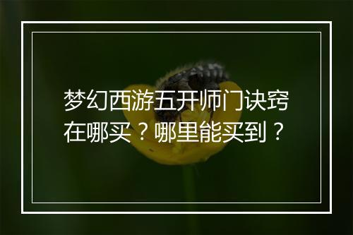 梦幻西游五开师门诀窍在哪买？哪里能买到？