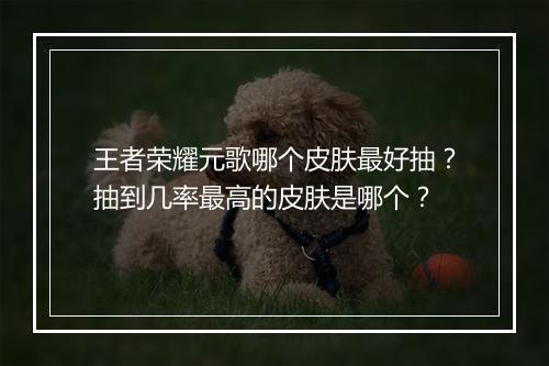 王者荣耀元歌哪个皮肤最好抽？抽到几率最高的皮肤是哪个？