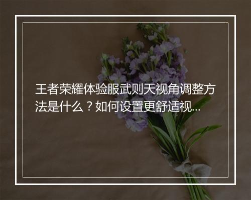 王者荣耀体验服武则天视角调整方法是什么？如何设置更舒适视角？