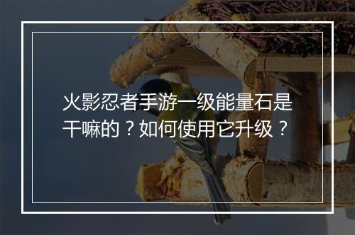 火影忍者手游一级能量石是干嘛的？如何使用它升级？