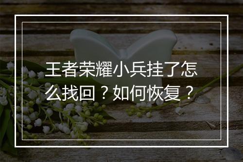 王者荣耀小兵挂了怎么找回？如何恢复？