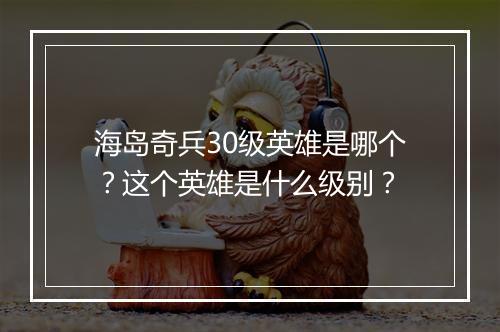 海岛奇兵30级英雄是哪个？这个英雄是什么级别？