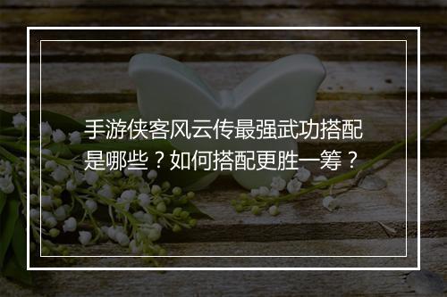 手游侠客风云传最强武功搭配是哪些？如何搭配更胜一筹？