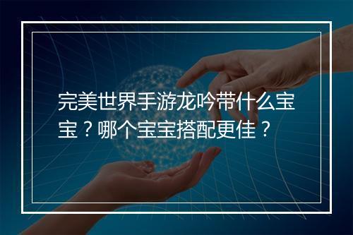 完美世界手游龙吟带什么宝宝？哪个宝宝搭配更佳？