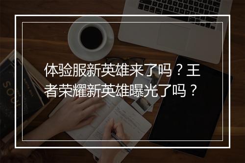 体验服新英雄来了吗？王者荣耀新英雄曝光了吗？