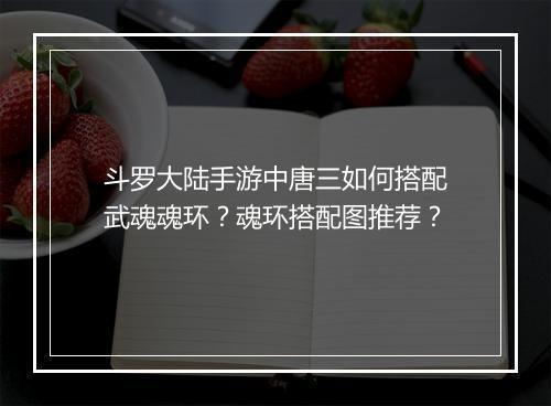 斗罗大陆手游中唐三如何搭配武魂魂环？魂环搭配图推荐？