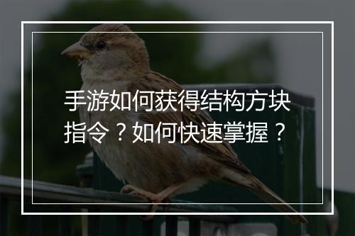 手游如何获得结构方块指令?如何快速掌握?