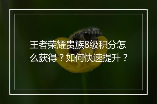 王者荣耀贵族8级积分怎么获得？如何快速提升？