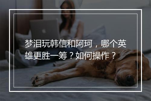 梦泪玩韩信和阿珂，哪个英雄更胜一筹？如何操作？
