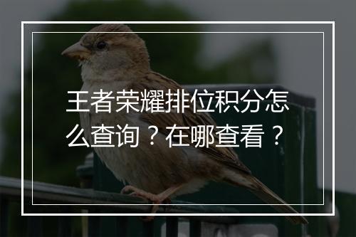 王者荣耀排位积分怎么查询？在哪查看？