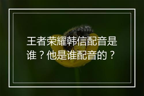 王者荣耀韩信配音是谁？他是谁配音的？