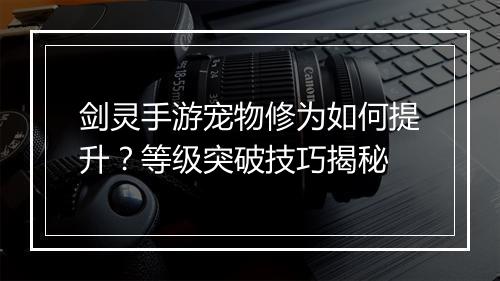 剑灵手游宠物修为如何提升？等级突破技巧揭秘