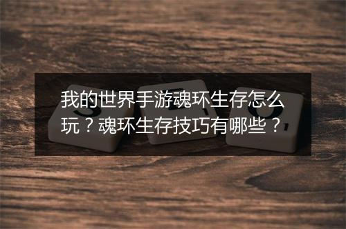 我的世界手游魂环生存怎么玩？魂环生存技巧有哪些？