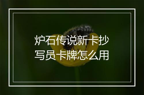炉石传说新卡抄写员卡牌怎么用