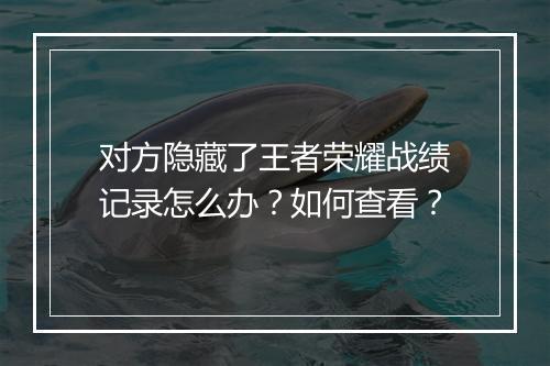 对方隐藏了王者荣耀战绩记录怎么办？如何查看？