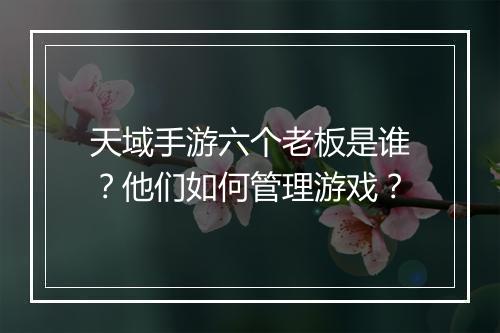 天域手游六个老板是谁？他们如何管理游戏？