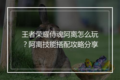 王者荣耀侍魂阿离怎么玩？阿离技能搭配攻略分享