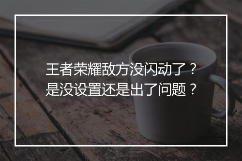 王者荣耀敌方没闪动了？是没设置还是出了问题？