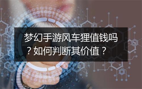 梦幻手游风车狸值钱吗?如何判断其价值?