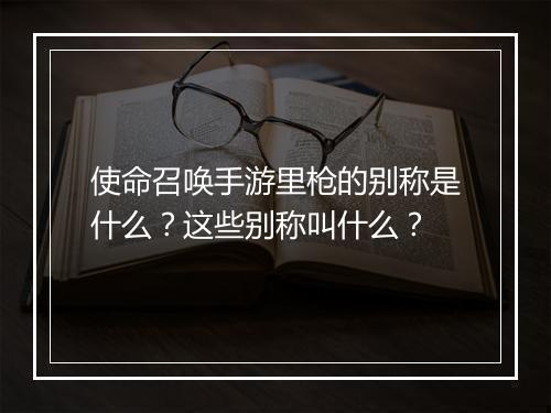 使命召唤手游里枪的别称是什么？这些别称叫什么？
