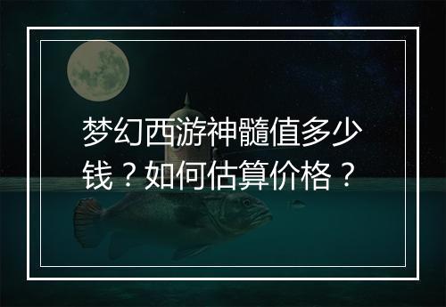 梦幻西游神髓值多少钱？如何估算价格？
