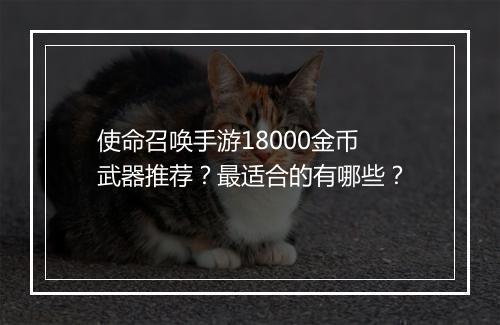 使命召唤手游18000金币武器推荐?最适合的有哪些?