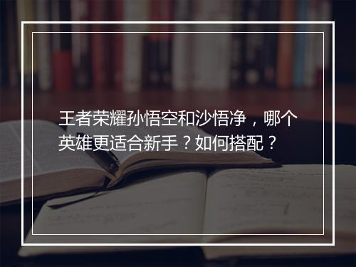 王者荣耀孙悟空和沙悟净，哪个英雄更适合新手？如何搭配？