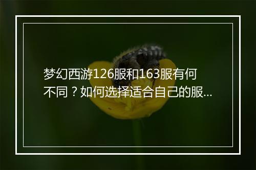 梦幻西游126服和163服有何不同？如何选择适合自己的服务器？