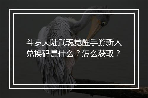 斗罗大陆武魂觉醒手游新人兑换码是什么？怎么获取？