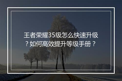 王者荣耀35级怎么快速升级？如何高效提升等级手册？