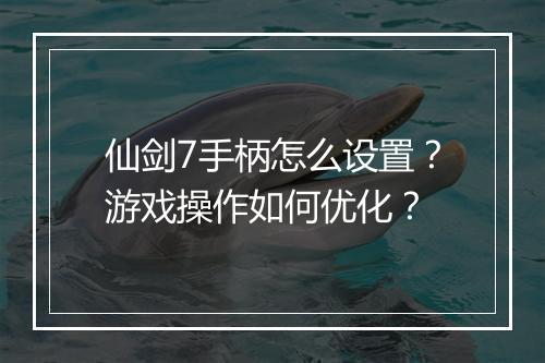 仙剑7手柄怎么设置？游戏操作如何优化？