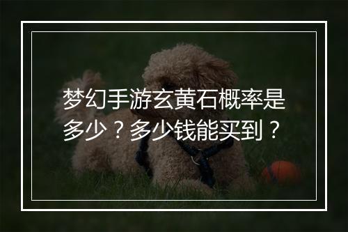 梦幻手游玄黄石概率是多少?多少钱能买到?