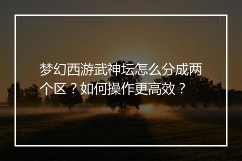 梦幻西游武神坛怎么分成两个区？如何操作更高效？