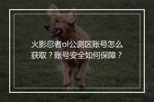 火影忍者ol公测区账号怎么获取？账号安全如何保障？