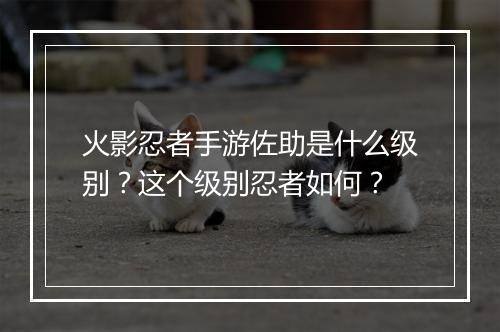 火影忍者手游佐助是什么级别？这个级别忍者如何？