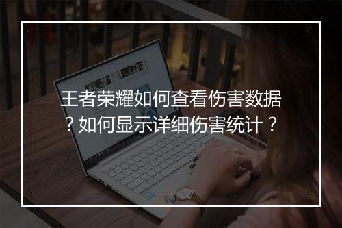 王者荣耀如何查看伤害数据?如何显示详细伤害统计?