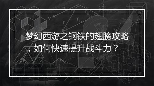 梦幻西游之钢铁的翅膀攻略，如何快速提升战斗力？