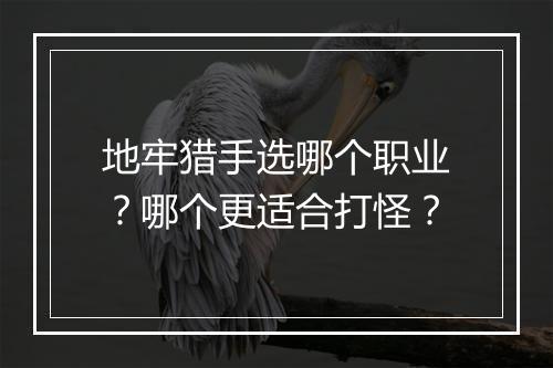 地牢猎手选哪个职业？哪个更适合打怪？