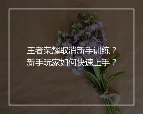 王者荣耀取消新手训练？新手玩家如何快速上手？